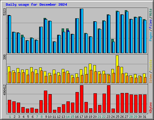 Daily usage for December 2024