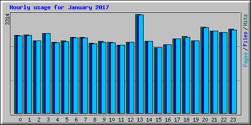 Hourly usage for January 2017