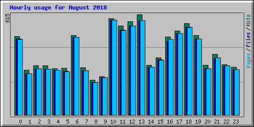 Hourly usage for August 2018