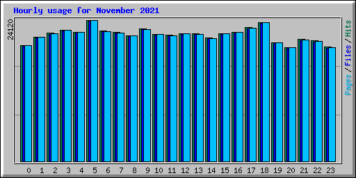 Hourly usage for November 2021