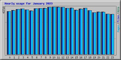 Hourly usage for January 2023