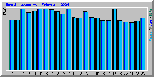 Hourly usage for February 2024