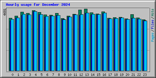 Hourly usage for December 2024