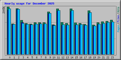 Hourly usage for December 2025